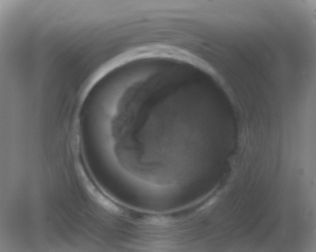 X0000082991522200702011416