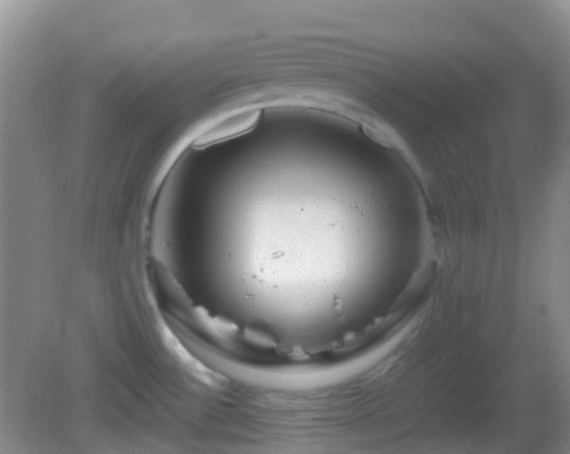 X0000082991532200702011416