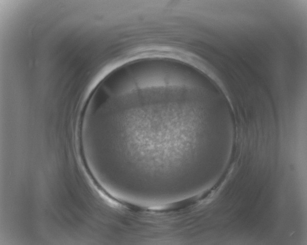 X0000082991533200702011416