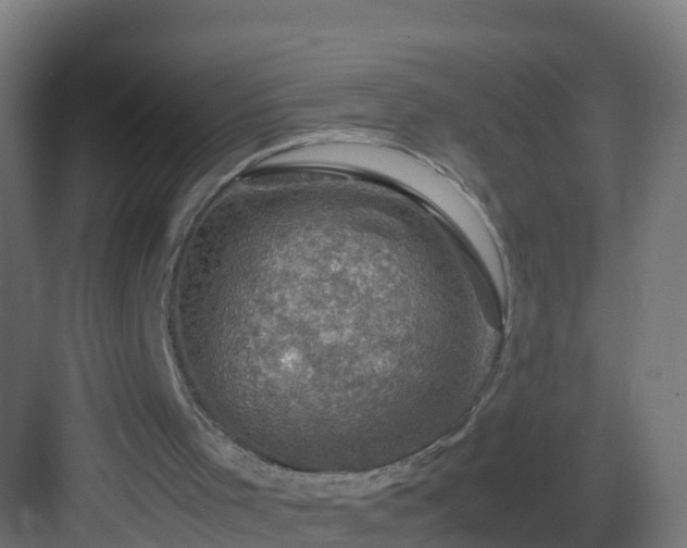 X0000082990001200702081846