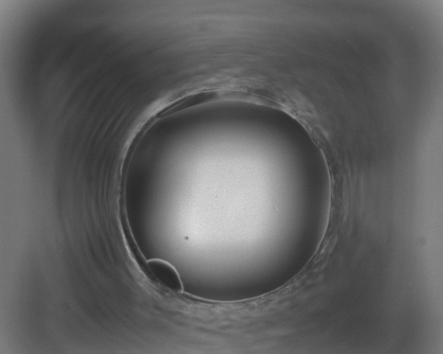 X0000082990003200702081846