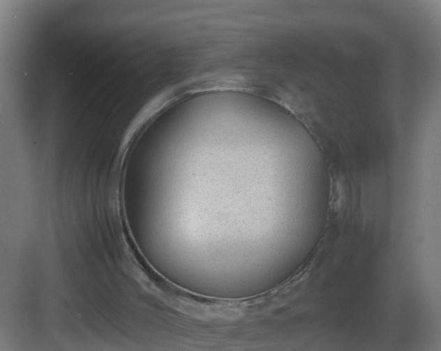 X0000082990004200702081846