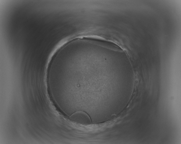 X0000082990006200702081846