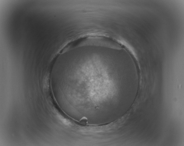 X0000082990009200702081846