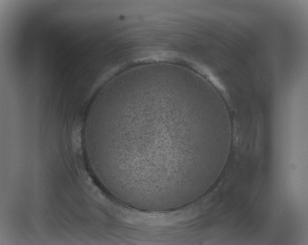 X0000082990010200702081846