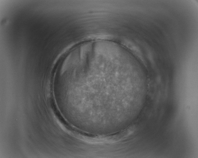 X0000082990012200702081846