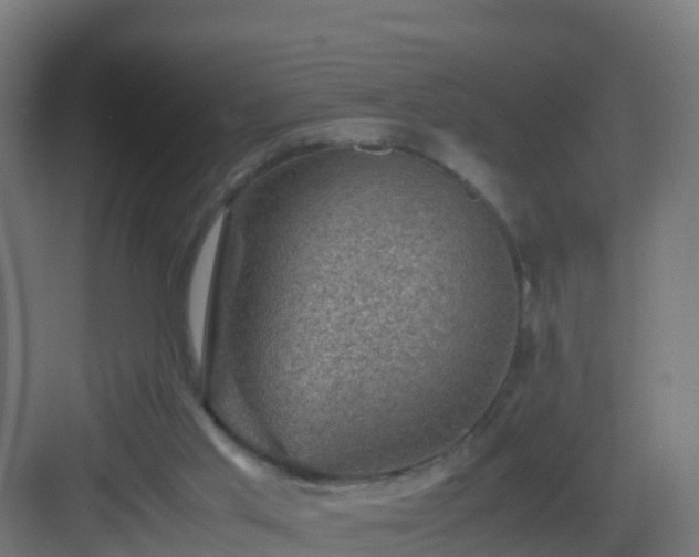 X0000082990013200702081846