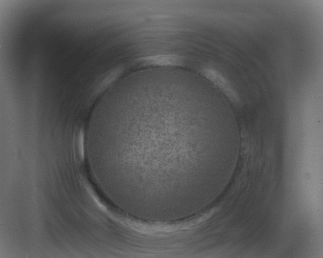 X0000082990014200702081846