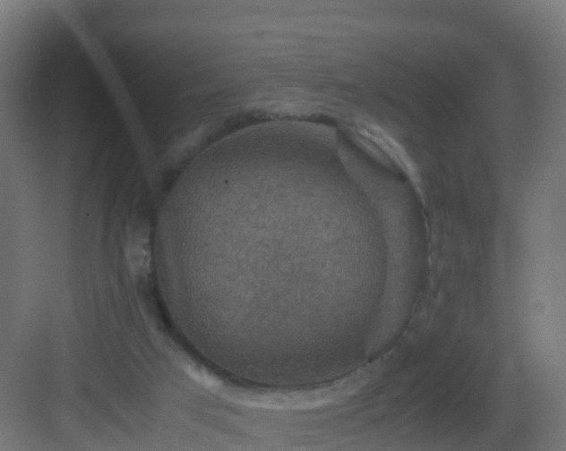 X0000082990017200702081846