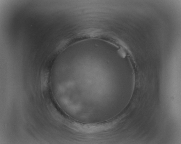 X0000082990018200702081846