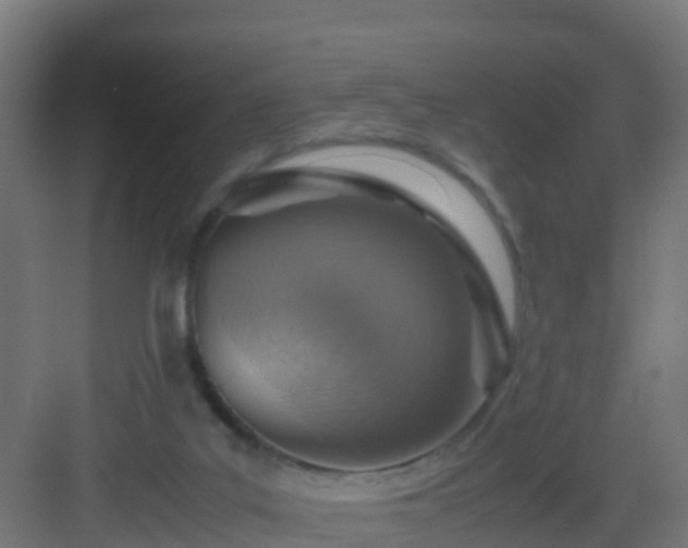 X0000082990019200702081846