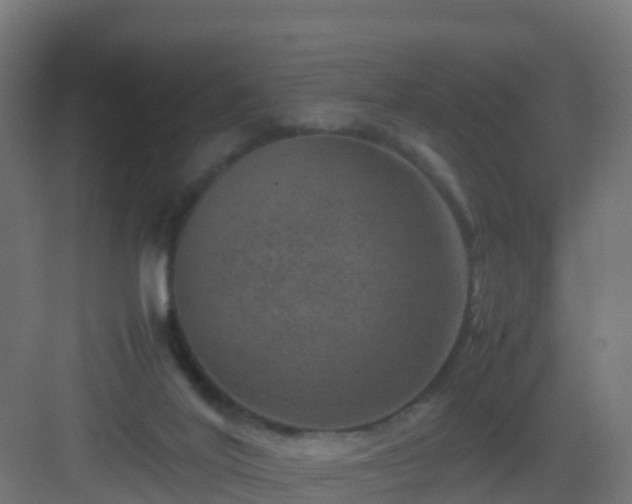 X0000082990020200702081846