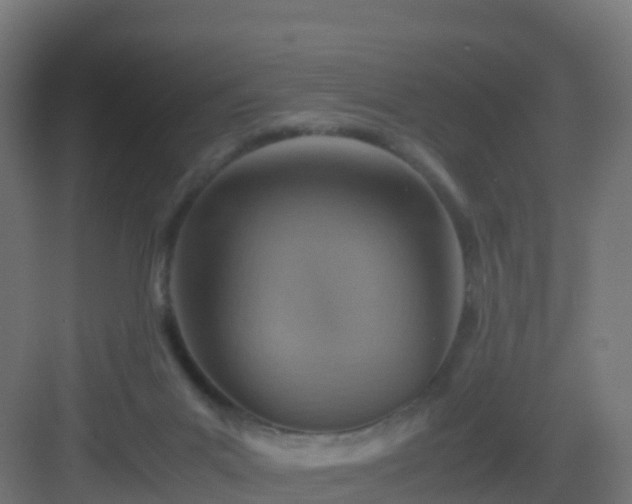 X0000082990023200702081846