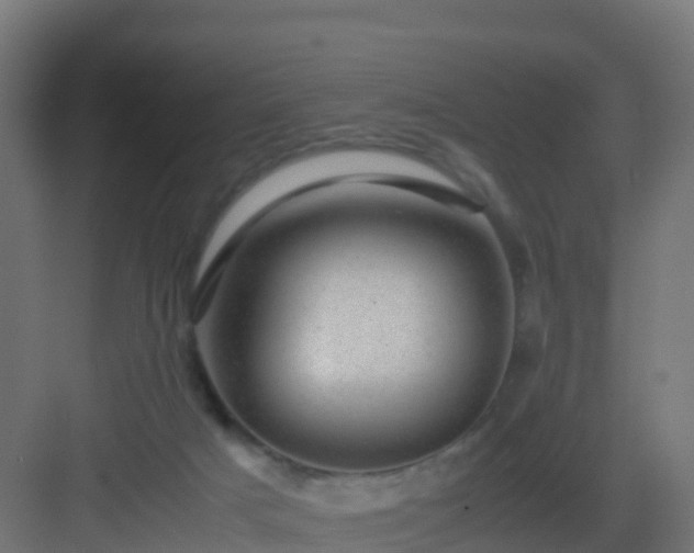 X0000082990025200702081846