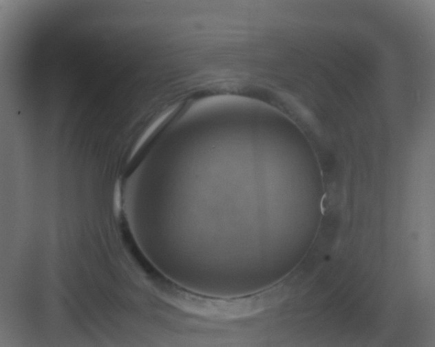 X0000082990027200702081846