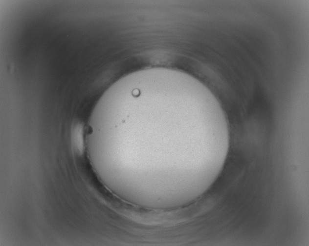 X0000082990028200702081846