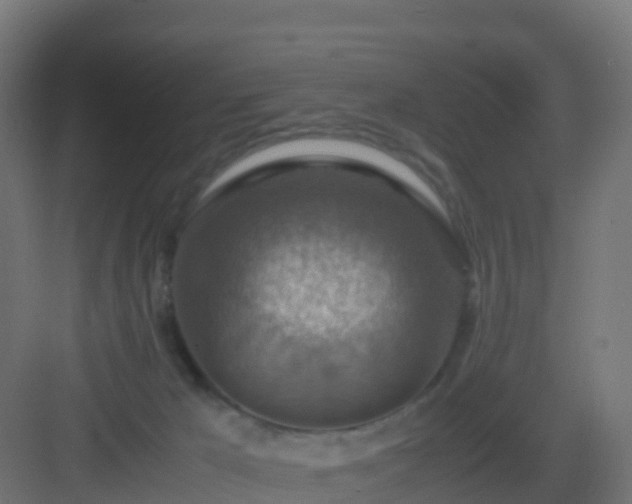 X0000082990029200702081846