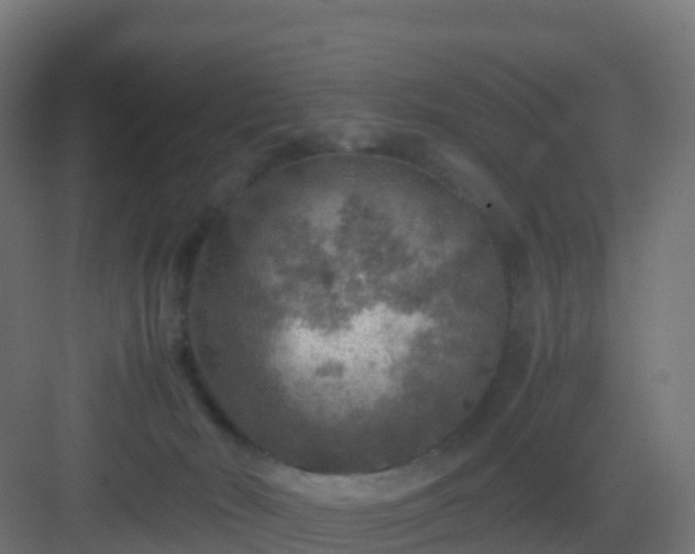 X0000082990030200702081846