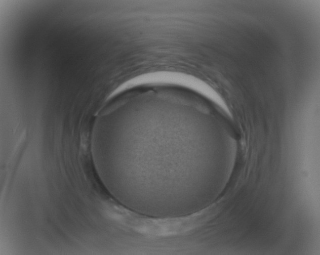 X0000082990033200702081846