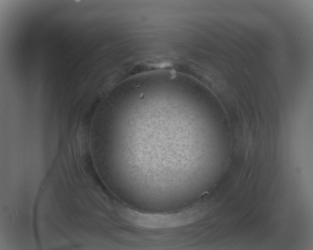 X0000082990034200702081846