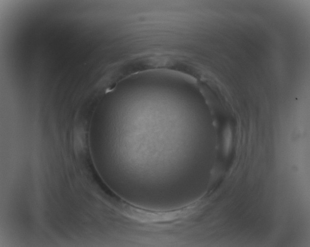 X0000082990035200702081846