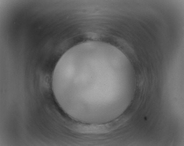 X0000082990036200702081846