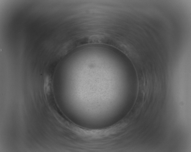 X0000082990038200702081846