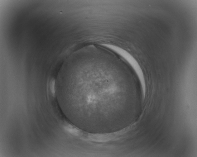 X0000082990041200702081846