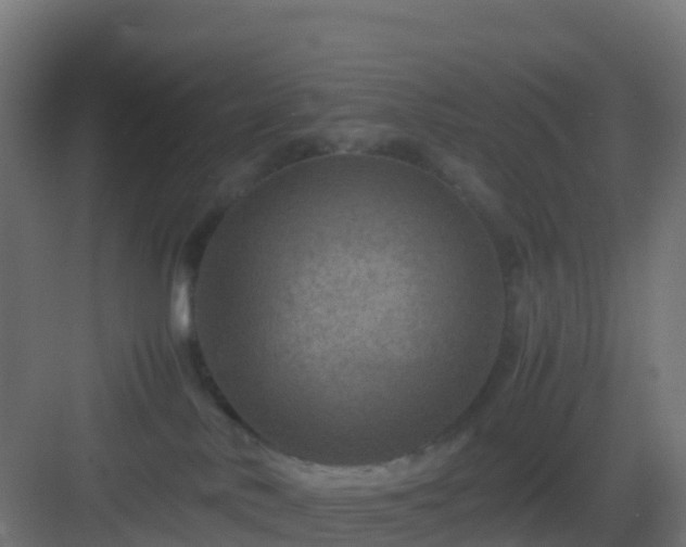 X0000082990042200702081846