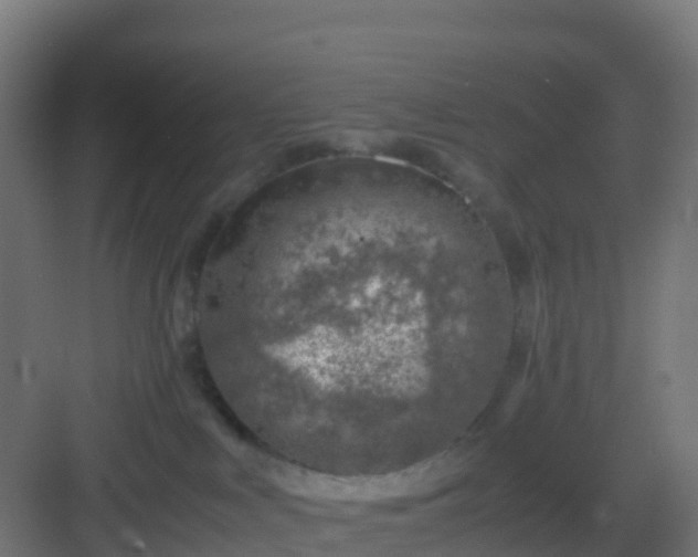 X0000082990043200702081846