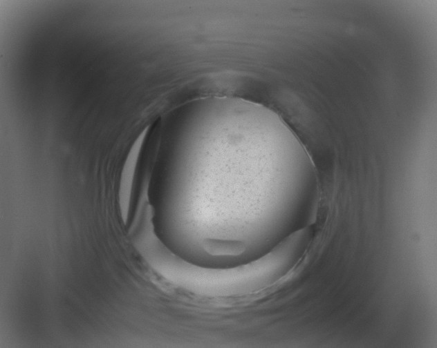 X0000082990045200702081846