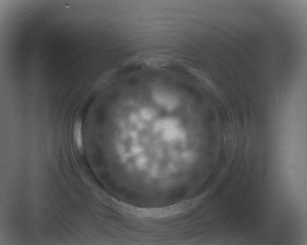 X0000082990046200702081846