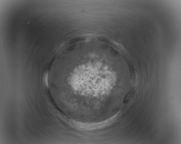 X0000082990047200702081846