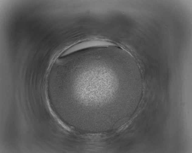 X0000082990049200702081845