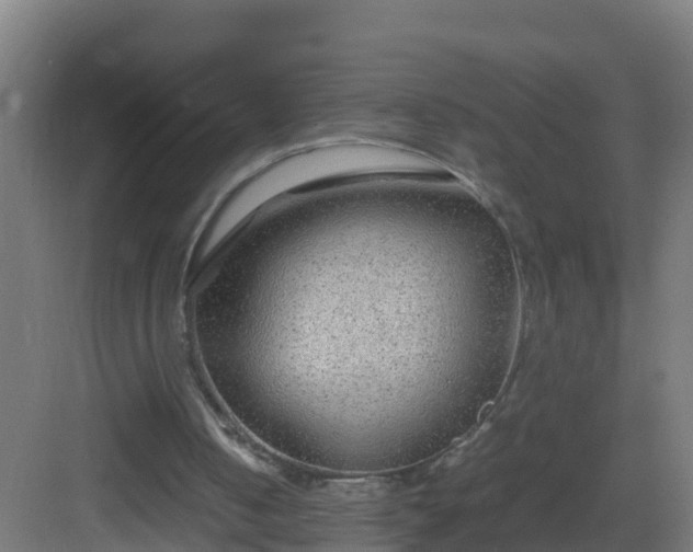 X0000082990050200702081845