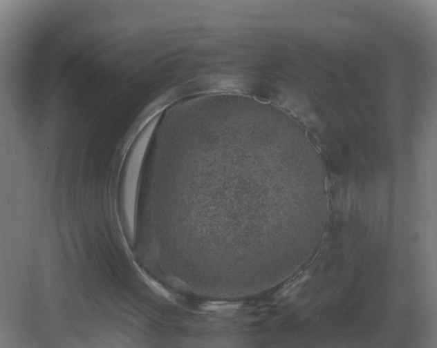 X0000082990051200702081845