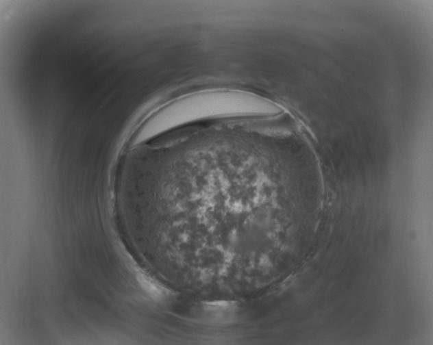 X0000082990053200702081845