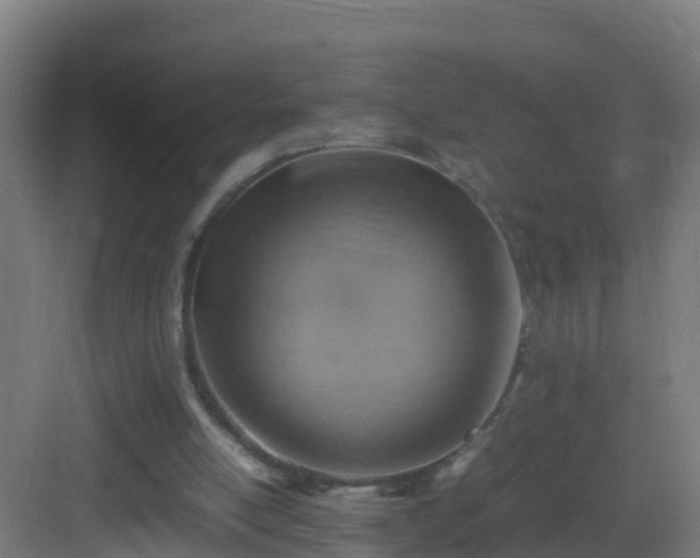 X0000082990054200702081845