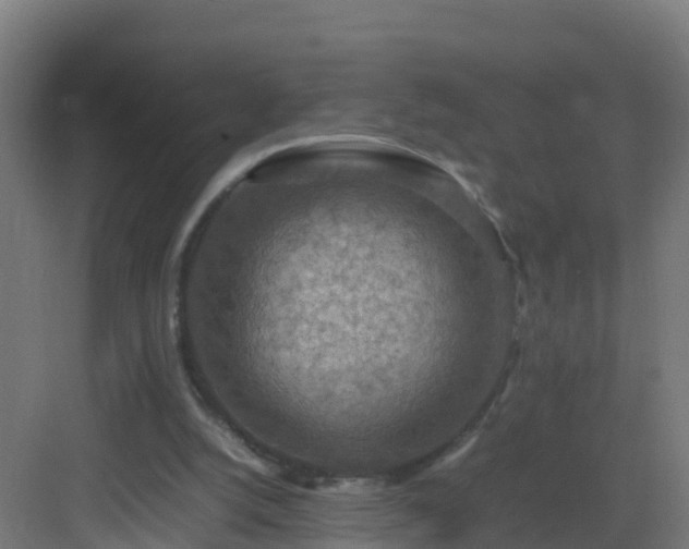 X0000082990056200702081845