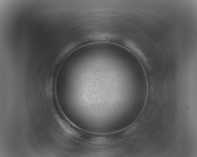 X0000082990058200702081845