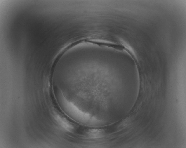 X0000082990059200702081845