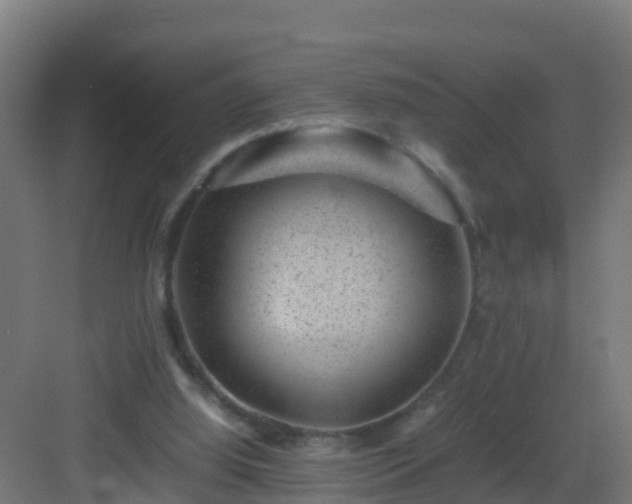 X0000082990060200702081845