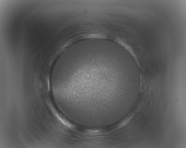 X0000082990061200702081845