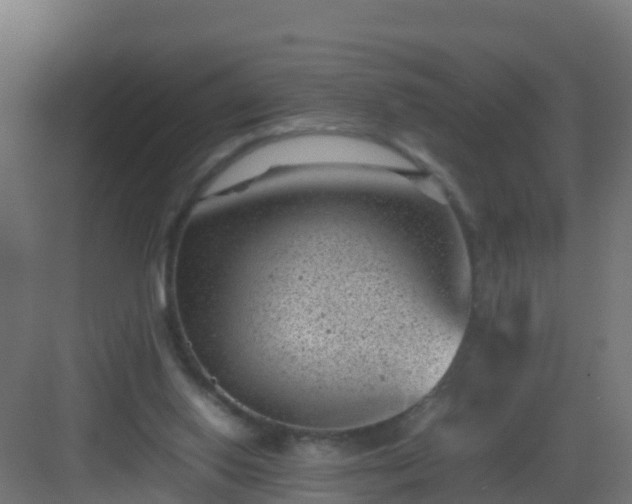 X0000082990062200702081845