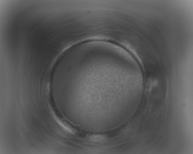 X0000082990063200702081845