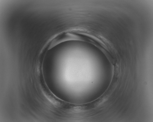 X0000082990064200702081845