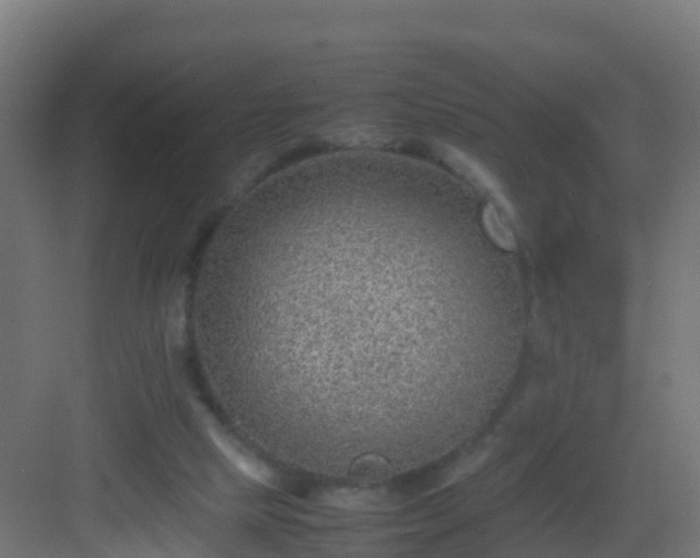 X0000082990065200702081845