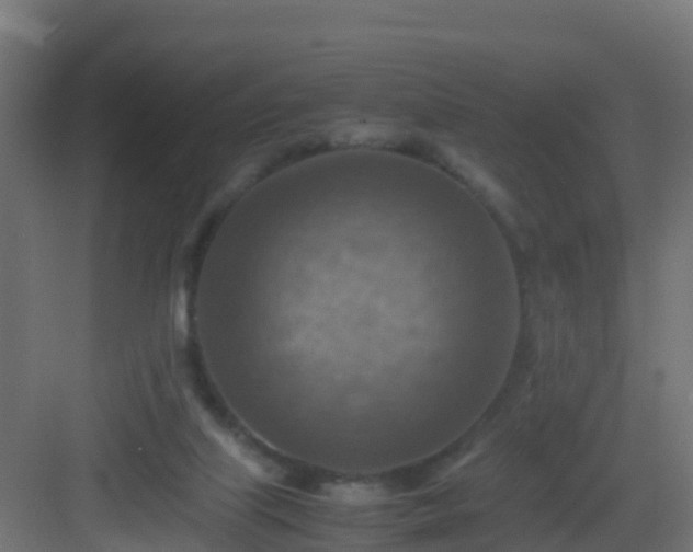 X0000082990067200702081845