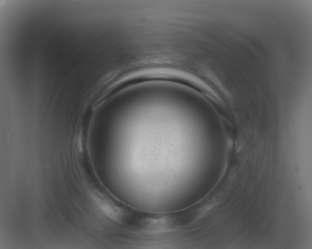 X0000082990068200702081845