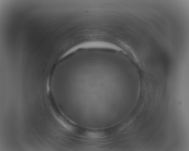 X0000082990069200702081845